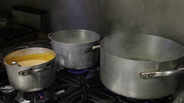 Große Töpfe kochen Essen auf dem Herd — Stockvideo