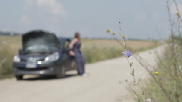 Розбитий автомобіль на заміській дорозі, зосередьтеся на квітці — стокове відео