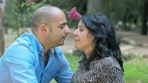 温柔的情侣接吻在公园里︰ 夫妇坠入爱河 — 图库视频影像