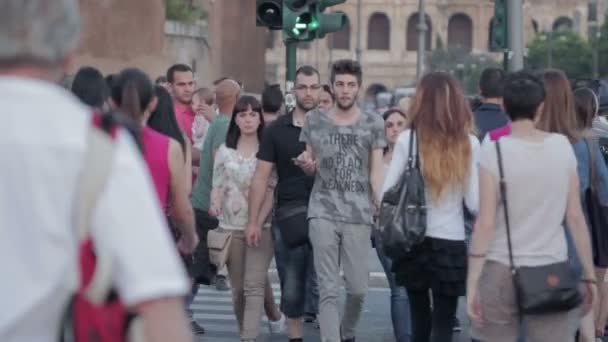 Menigte van mensen kruising straat zebra strips: centrum van de stad, de mannen, de vrouw, de dag — Stockvideo