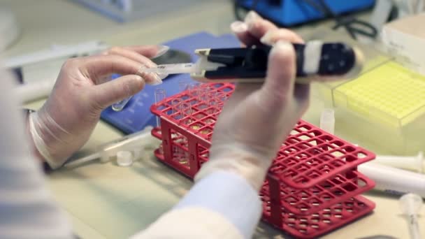 Biochemiker arbeitet im Labor — Stockvideo