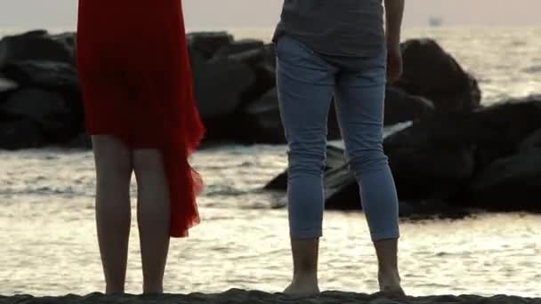 Happy couple holding hands looking in the sunset — Stock Video