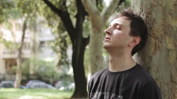 Verzweifelter junger Mann unter einem Baum — Stockvideo