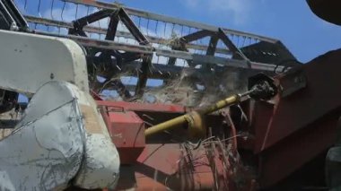 belirli bir gruptaki buğday hasat bir birleştirme: alan, ağır çekim