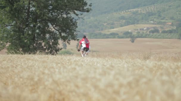 Велосипедисти весело катаються на відкритому повітрі на природі, серед пшеничних полів — стокове відео