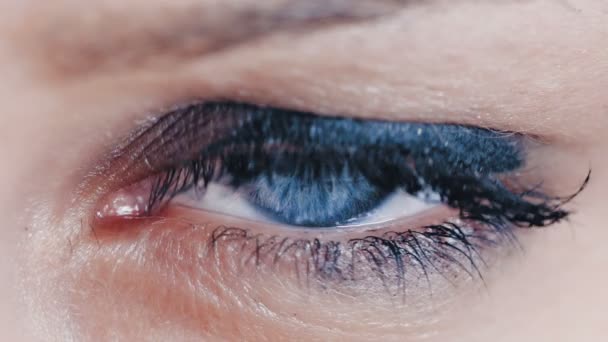 Темно-синий глаз — стоковое видео