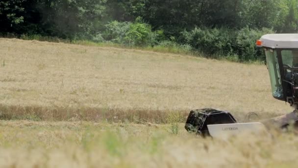 Tarwe oogst met moderne combine harvester, opruiming apparatuur, platteland — Stockvideo