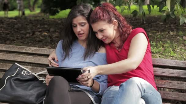 Lesbisk. Två glada vänner som använder TabletPC på park — Stockvideo