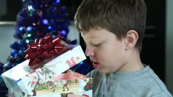 Sorpresa de Navidad: niño abre un regalo en una caja — Vídeos de Stock