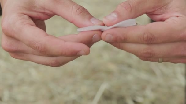 Händerna rullande papper för att göra en cigarett — Stockvideo