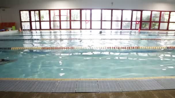 Overzicht van een meisje die schoolslag zwemt — Stockvideo
