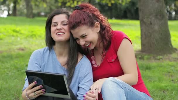 Lesbický pár uvolňující a pomocí tabletového počítače v parku — Stock video
