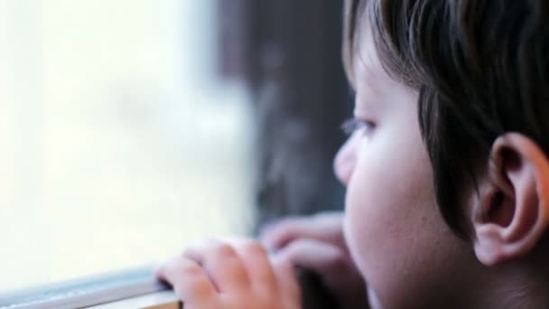 Hermoso niño aburrido y triste mirando a través de la ventana — Vídeos de Stock