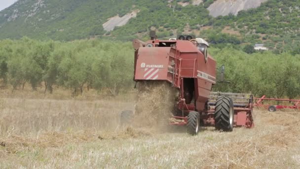 Tarwe oogst met moderne combine harvester, opruiming apparatuur, platteland — Stockvideo