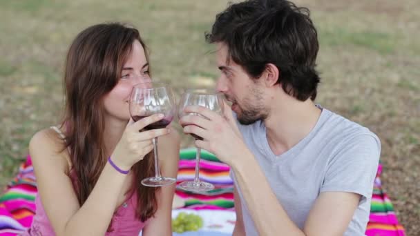 Pareja joven bebiendo vino en el picnic — Vídeos de Stock