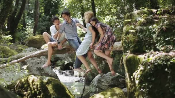 Gruppe von Freunden amüsiert sich am Bach — Stockvideo