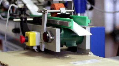 yüz kremi fabrikasında tüpler etiketleme