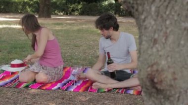 Genç çift pikniğe şarap içme 