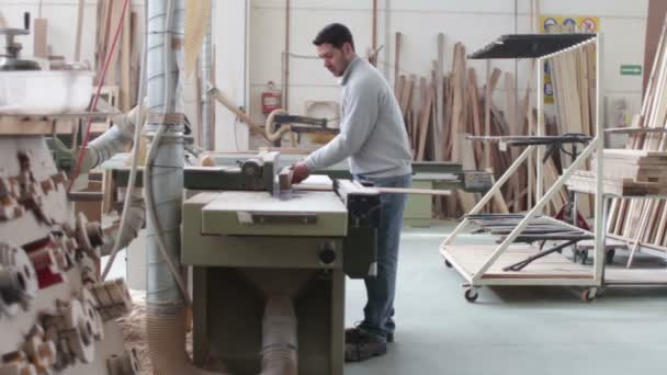 Woodworker - marangozlar - dolly — Stok video