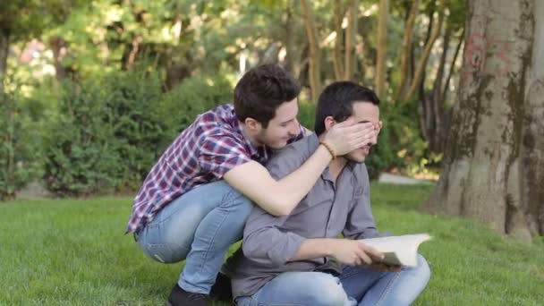 Menino lê um livro no parque, mas é interrompido por brincadeira de um amigo — Vídeo de Stock