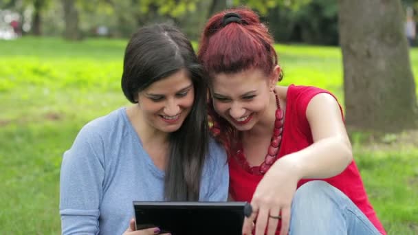女同性恋者在公园使用平板电脑的肖像 — 图库视频影像
