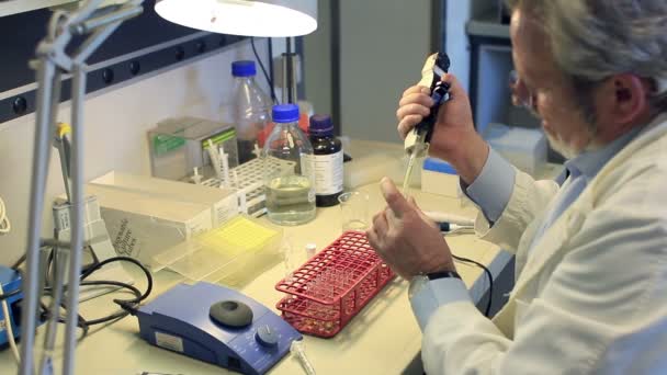Biochimiste Travaillant Dans Laboratoire Recherche — Video