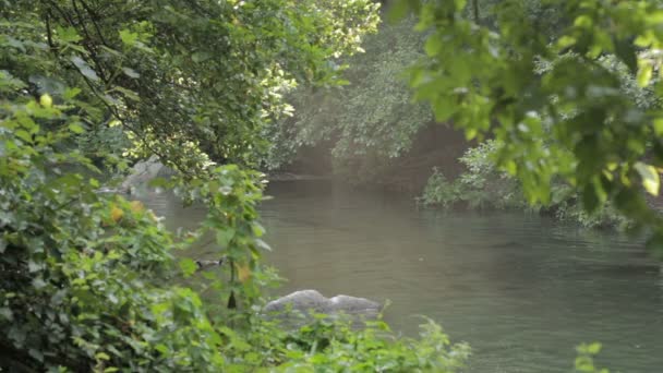 Wasser fließt in den Fluss mit einem Sonnenstrahl, der grüne Vegetation trifft — Stockvideo