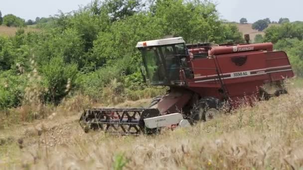 Комбайны для сбора пшеницы на ферме: поле, сельская местность — стоковое видео