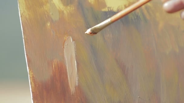 Pintor pintando un hermoso paisaje — Vídeo de stock