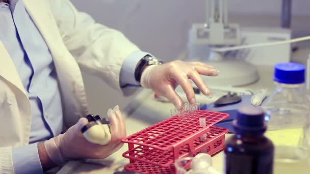 Scentist arbeitet im genetischen Labor — Stockvideo