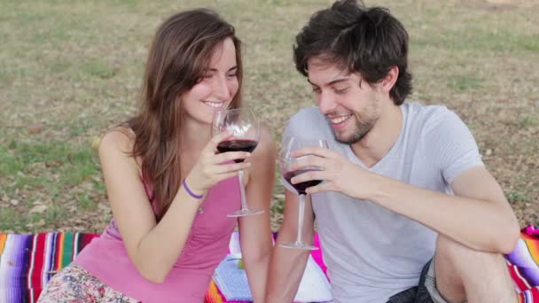 Casal jovem bebendo vinho em piquenique — Vídeo de Stock