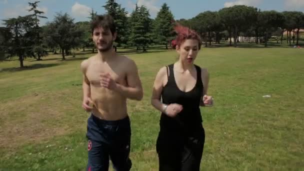 Jonge mensen maken lichaamsbeweging uitgevoerd in een park, steadycam schot — Stockvideo