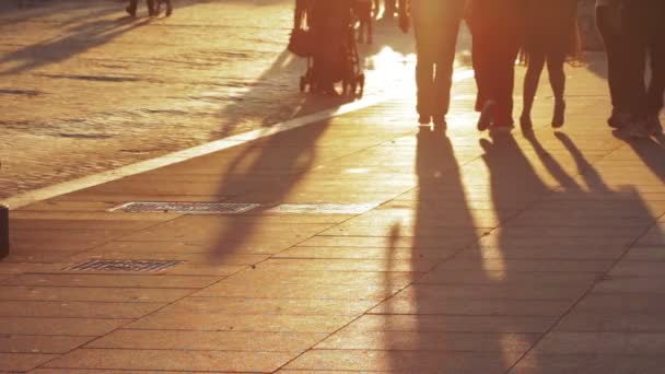 Roma, Italia, 8 de junio de 2014- Gente caminando al atardecer, largas sombras de gente en silueta anónima — Vídeos de Stock