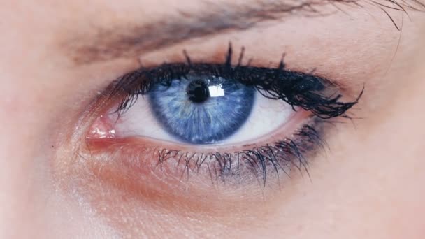 Diepblauwe ogen — Stockvideo