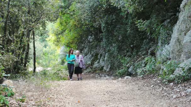 Γιαγιά και εγγονή βόλτες στο πάρκο — Αρχείο Βίντεο