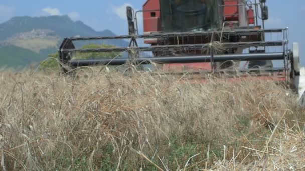 Slow-motion van combine harvester op een gebied van tarwe: boer, landbouw — Stockvideo