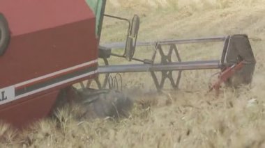 belirli bir birleştirme hasat iş başında: Tarım, çiftlik, çiftçi