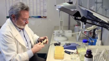 Otomatik pipet ve girdap ile laboratuvarda çalışan bir kimyager.