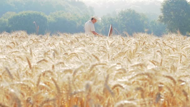 Escena romántica - pintor con sombrero de paja entre las espigas de trigo (maíz ) — Vídeos de Stock