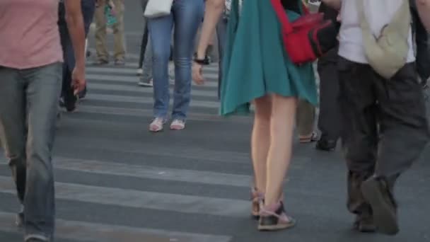Толпа людей, переходящих улицу на полосах зебры: центр города, мужчины, женщина, день - Рим, Италия, 8 июня 2014 г. — стоковое видео