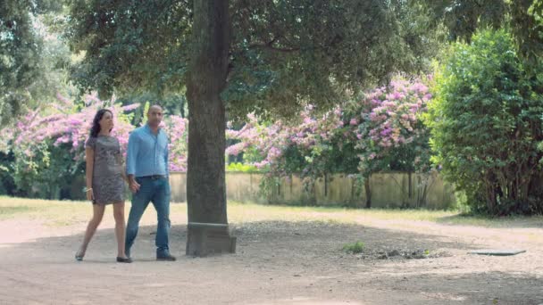 Влюбленная пара гуляющая по парку, целующаяся и обнимающаяся — стоковое видео
