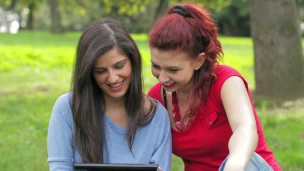 Lesbianas sentadas juntas en la hierba verde usando una tableta PC — Vídeos de Stock