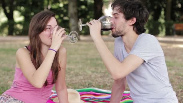 Paar drinkende rode wijn — Stockvideo