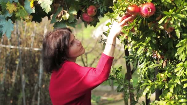 Mujer encantadora y granadas dulces — Vídeo de stock