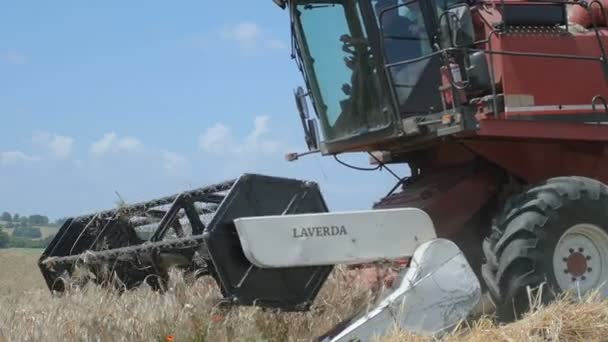 小麦收获与现代联合收割机，在慢动作中收获设备 — 图库视频影像