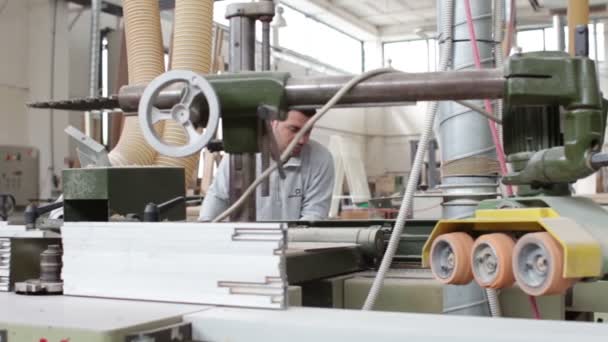 Woodworker (carpenter) in the factory use a industrial planer - dolly — Stock video