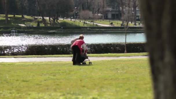 Carro de bebé en el parque — Vídeos de Stock