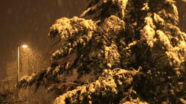 Город во время снежной бури — стоковое видео