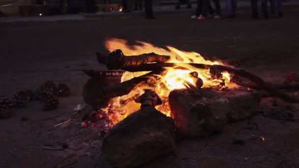 木头在壁炉上的火 — 图库视频影像