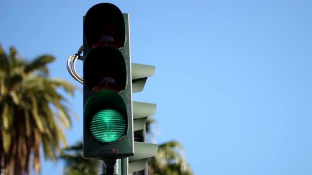 Traffic lights in the historical center — Stock Video